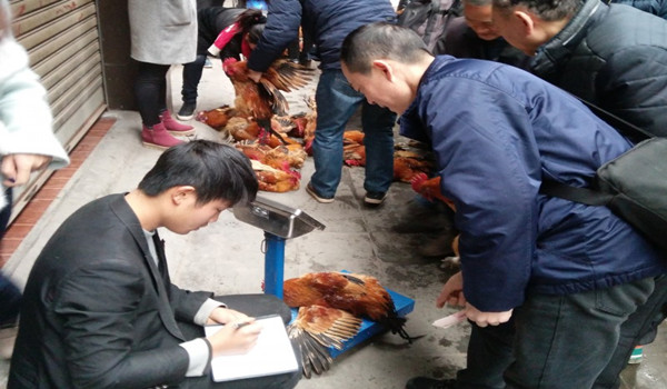 1508378908473435E6F2.jpg 1508378908473435E6F2.jpg